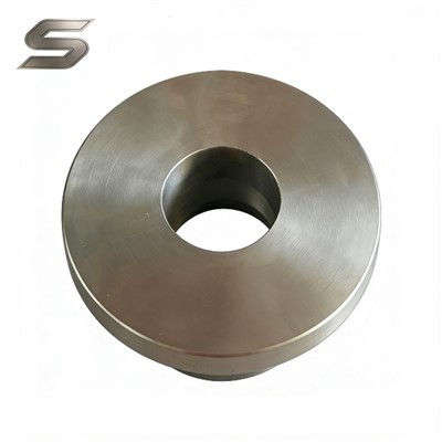 2205 pièces forgées en acier inoxydable