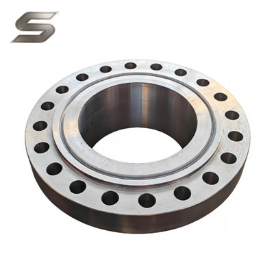 Bride en acier inoxydable forgé